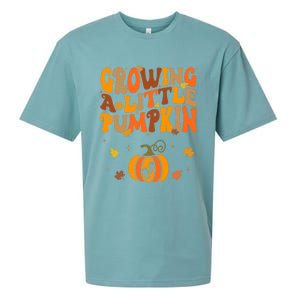 Growing A Little Pumpkin Thanksgiving Pregnancy Sueded Cloud Jersey T-Shirt