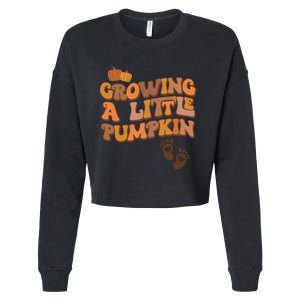 Growing A Little Pumpkin Thanksgiving Pregnancy Announcement Cropped Pullover Crew