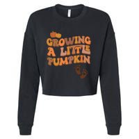 Growing A Little Pumpkin Thanksgiving Pregnancy Announcement Cropped Pullover Crew