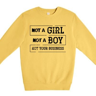 Genderfluid Agender Lgbt Pride Month Gift Non Binary Meaningful Gift Premium Crewneck Sweatshirt