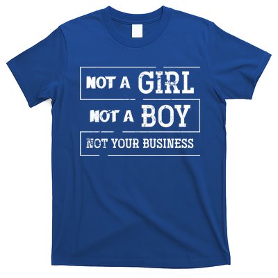 Genderfluid Agender Lgbt Pride Month Gift Non Binary Meaningful Gift T-Shirt