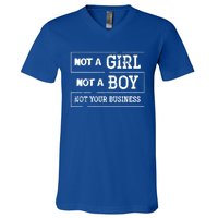 Genderfluid Agender Lgbt Pride Month Gift Non Binary Meaningful Gift V-Neck T-Shirt