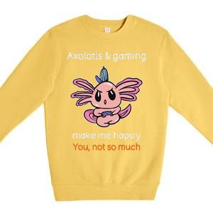 Gamer Axolotl Lover Cute Axolotl Gaming Video Gamer Gift  Premium Crewneck Sweatshirt