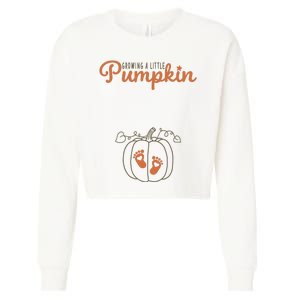 Growing A Little Pumpkin Pregnancy Thanksgiving Cropped Pullover Crew