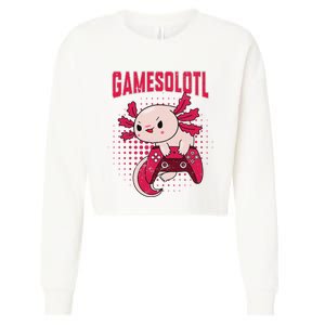 Gamer Axolotl Lover Cute Axolotl Gaming Retro Video Gamer  Cropped Pullover Crew