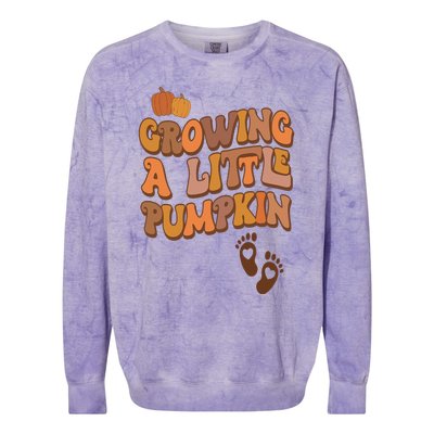 Growing A Little Pumpkin Thanksgiving Pregnancy Announcement Colorblast Crewneck Sweatshirt