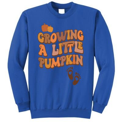 Growing A Little Pumpkin Thanksgiving Pregnancy Announcement Sweatshirt