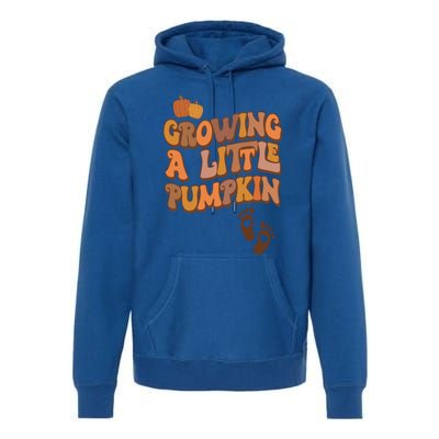 Growing A Little Pumpkin Thanksgiving Pregnancy Announcement Premium Hoodie