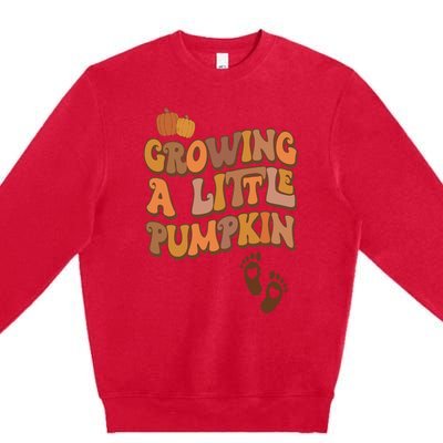 Growing A Little Pumpkin Thanksgiving Pregnancy Announcement Premium Crewneck Sweatshirt