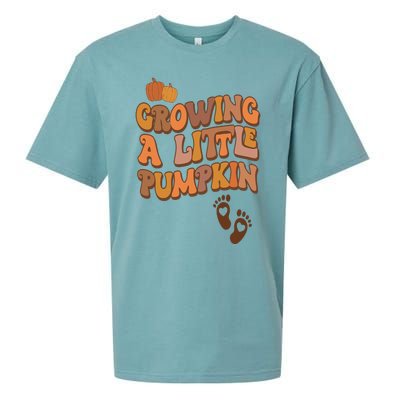 Growing A Little Pumpkin Thanksgiving Pregnancy Announcement Sueded Cloud Jersey T-Shirt