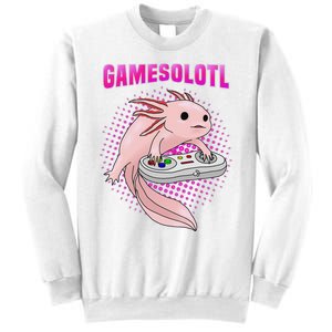 Gamer Axolotl Lover Cute Axolotl Gaming Video Gamer Gifts  Sweatshirt