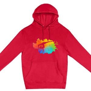 Gymnastics Acrobatics Lover Rainbow Colors Cheerleading Premium Pullover Hoodie