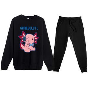 Gamer Axolotl Lover Cute Axolotl Gaming Video Gamer Premium Crewneck Sweatsuit Set