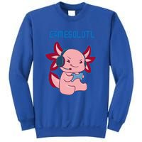 Gamer Axolotl Lover Cute Axolotl Gaming Video Gamer Sweatshirt