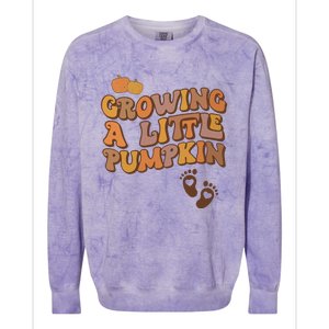 Growing A Little Pumpkin Pregnancy Announcement Halloween Colorblast Crewneck Sweatshirt