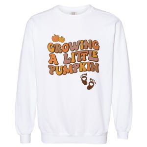 Growing A Little Pumpkin Pregnancy Announcement Halloween Garment-Dyed Sweatshirt