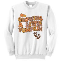 Growing A Little Pumpkin Pregnancy Announcement Halloween Sweatshirt