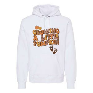 Growing A Little Pumpkin Pregnancy Announcement Halloween Premium Hoodie