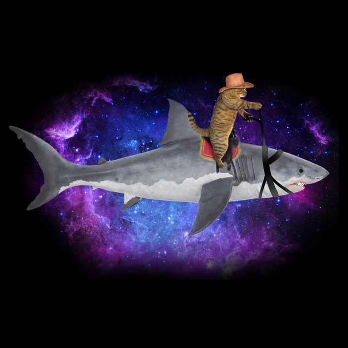 Galaxy Cat Riding Shark Flatbill Hat