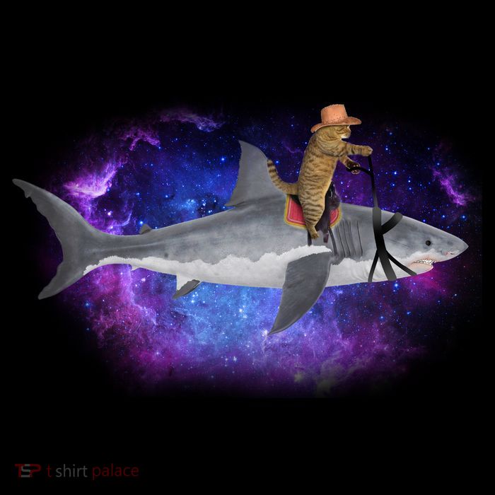 Galaxy Cat Riding Shark Sustainable Beanie