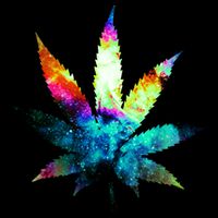 Galaxy Kush In Space Weed Hoodie