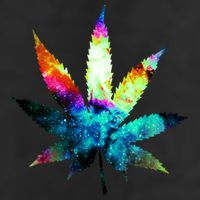 Galaxy Kush In Space Weed Adult Drive Performance Visor