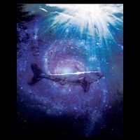 Galaxy Shark Underwater Premium T-Shirt