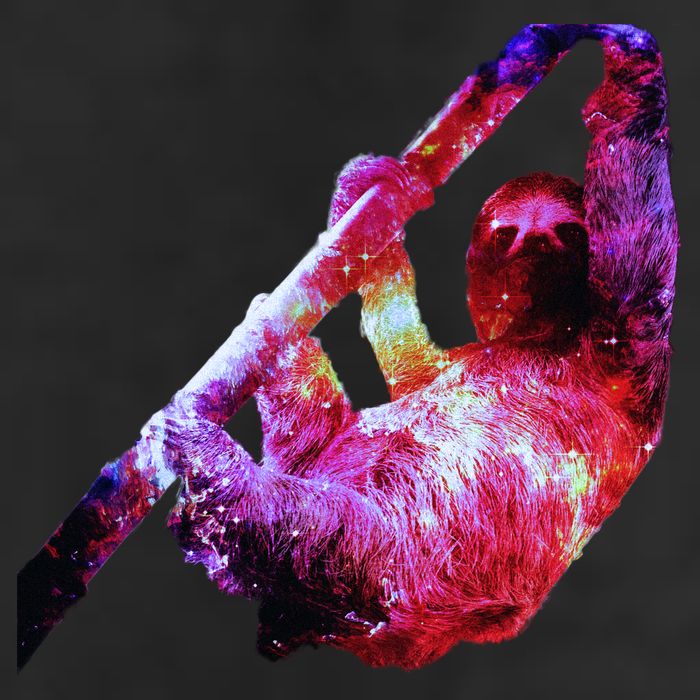 Galaxy Sloth Nebula Tumbler