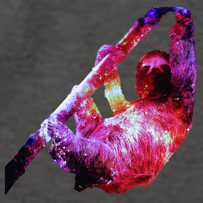 Galaxy Sloth Nebula Vector Backpack