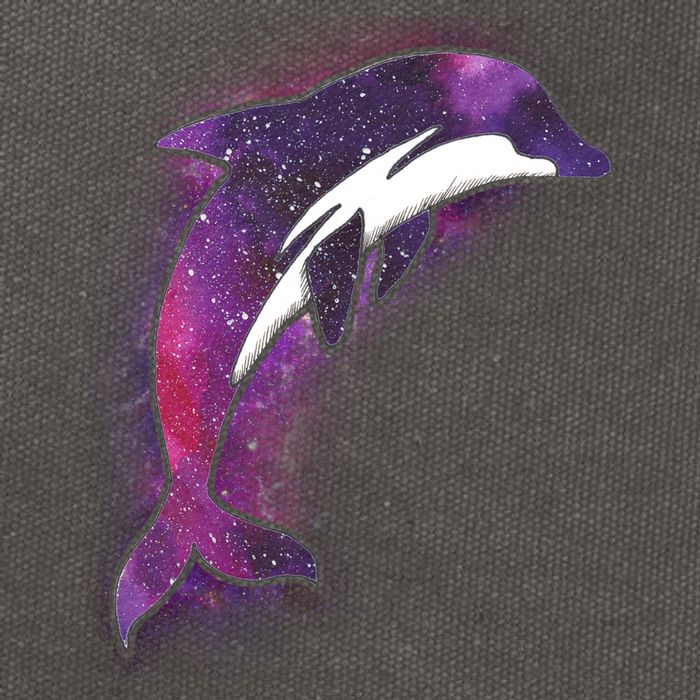Galaxy Stars Dolphin Cotton Canvas Backpack