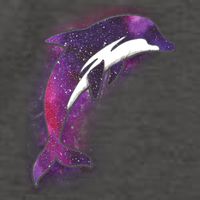 Galaxy Stars Dolphin Vector Backpack