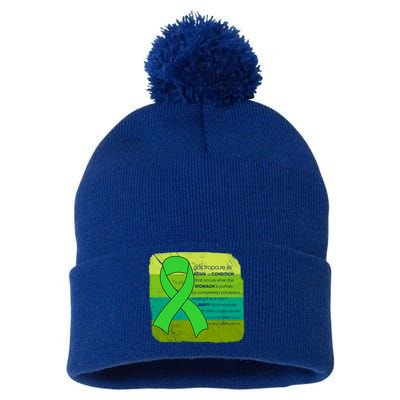 Gastric Awareness Month Funny Gift Definition Of Gastroparesis Gift Pom Pom 12in Knit Beanie