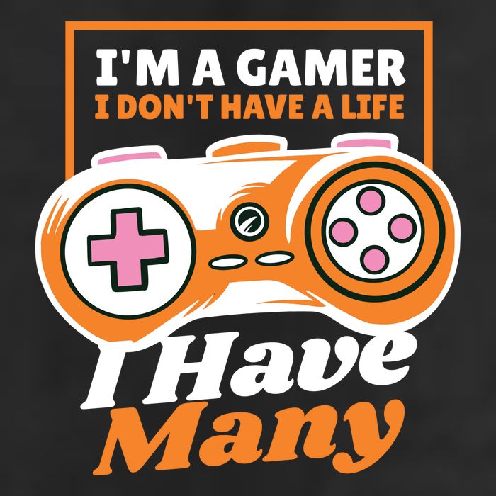 Gamer I Don't Have A Life I Have Many Premium Pullover Hoodie