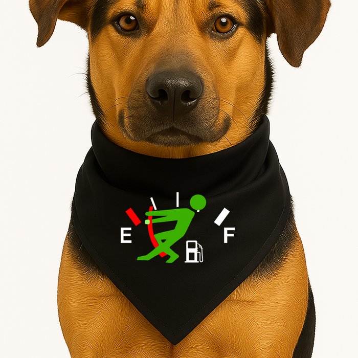 Gas Problems USA-Made Doggie Bandana