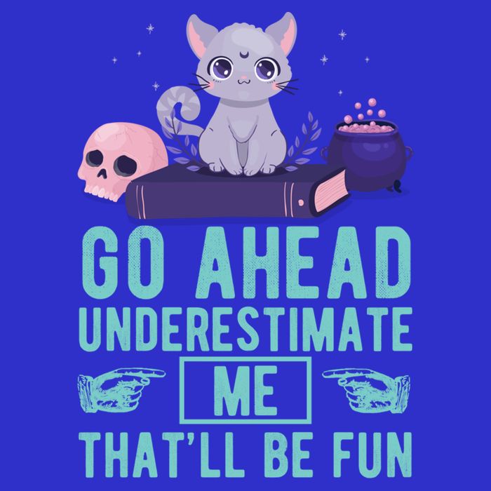 Go Ahead Underestimate Me That'll Be Fun Witch Cat Lover Meaningful Gift 16 in Basic Backpack