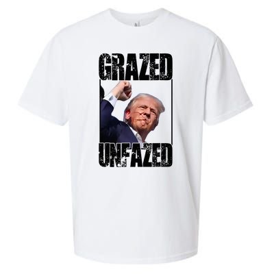 Grazed And Unfazed Sueded Cloud Jersey T-Shirt