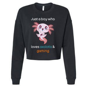 Gamesolotl Axolotl Video Gamer Kawaii Anime Gifts Boys Cropped Pullover Crew