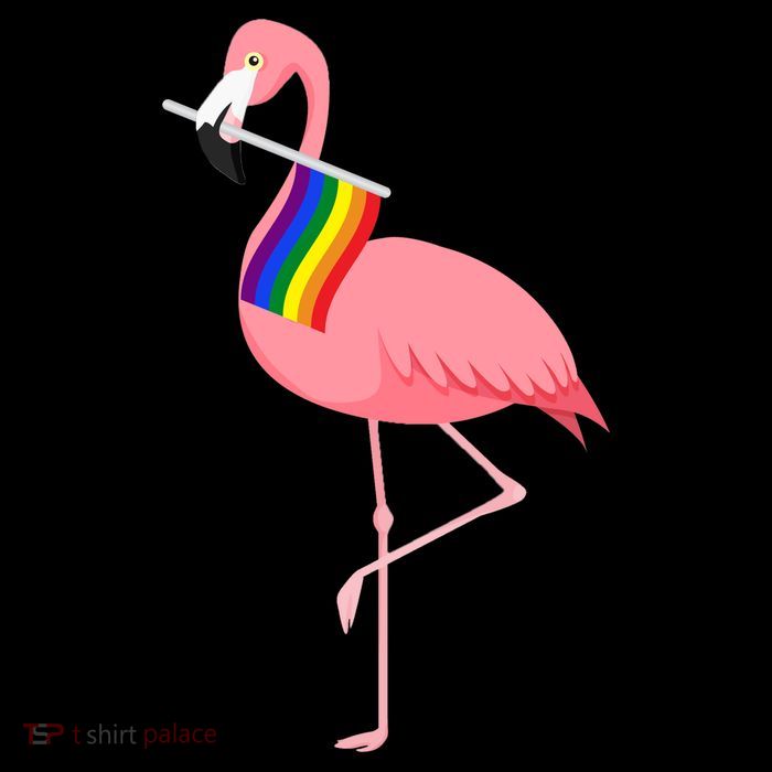 Gay Flamingo Button