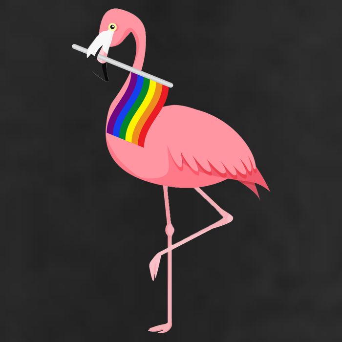 Gay Flamingo Trucker Hat