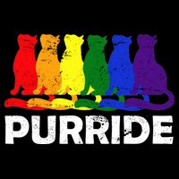 Gay Pride Purride Rainbow Cat T-Shirt