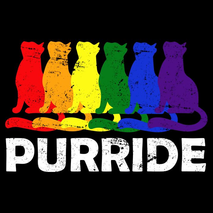 Gay Pride Purride Rainbow Cat T-Shirt