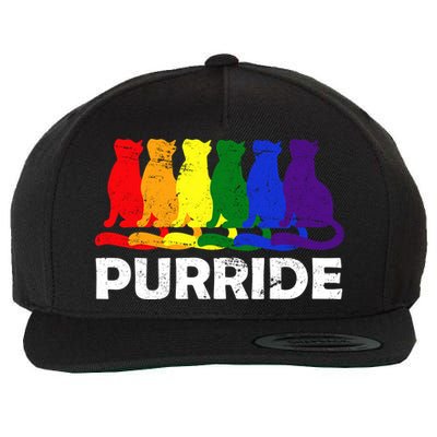 Gay Pride Purride Rainbow Cat Wool Snapback Cap