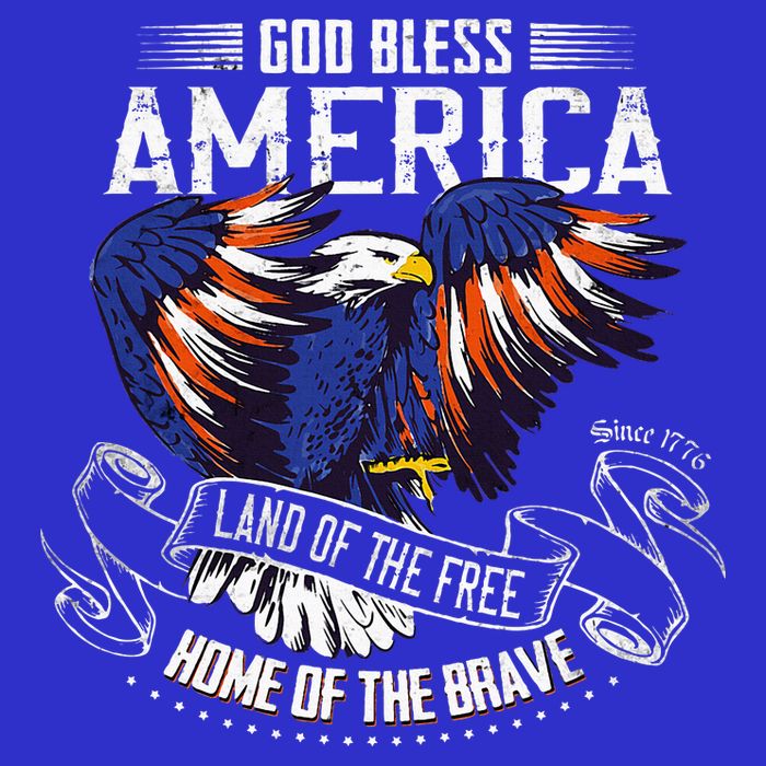 God Bless America Land Of The Free Because Of The Brave Toddler T-Shirt