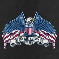 God Bless America Patriotic American Eagle USA Flag Beanie