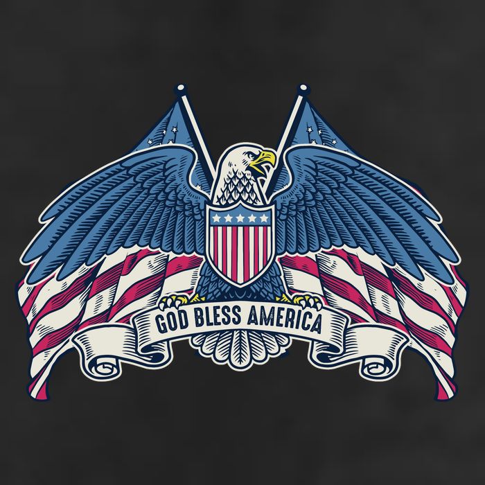 God Bless America Patriotic American Eagle USA Flag Beanie