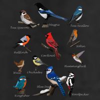 Garden Birds Cardinal Blue Jay Hummingbird Robin Wren Finch 7 Panel Mesh Trucker Snapback Hat