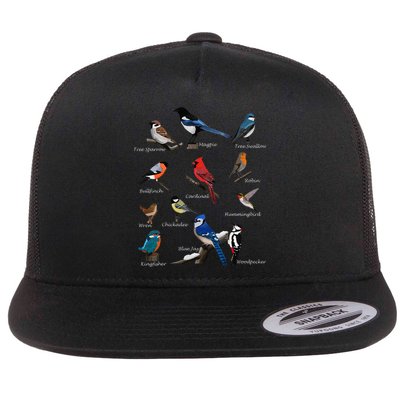 Garden Birds Cardinal Blue Jay Hummingbird Robin Wren Finch Flatbill Hat