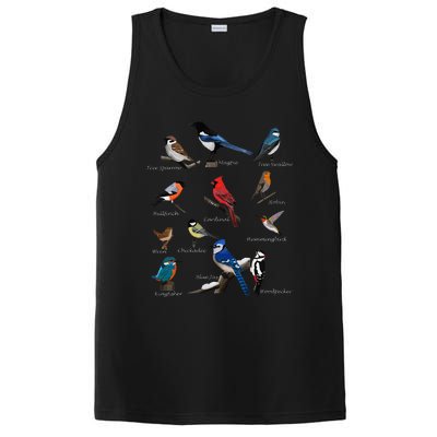 Garden Birds Cardinal Blue Jay Hummingbird Robin Wren Finch PosiCharge Competitor Tank