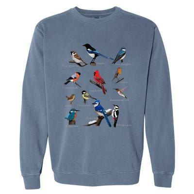 Garden Birds Cardinal Blue Jay Hummingbird Robin Wren Finch Garment-Dyed Sweatshirt