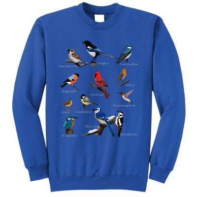 Garden Birds Cardinal Blue Jay Hummingbird Robin Wren Finch Sweatshirt